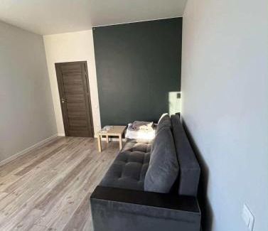 Kaunas County Apartment | 1 kambario apartamentai