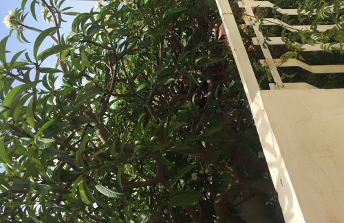 Nizza di Sicilia Apartment | 1 minute from the beautiful Jonio mar harbor