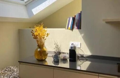 Vanchiglia Apartment | 1 minute walk from Mole Antonelliana