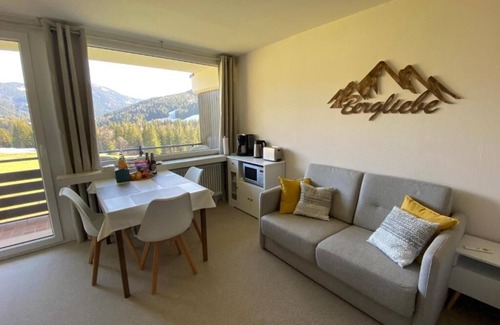 Balderschwang Apartment | 1-room apartment with mountain view on the ski slope with WiFi, Netflix, Prime