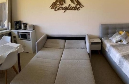 Balderschwang Apartment | 1-room apartment with mountain view on the ski slope with WiFi, Netflix, Prime