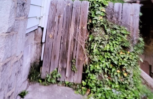 Brookland House | 1 Stop/1 Shop! Large D.C. house-pet friendly/big backyard & parking/near metro