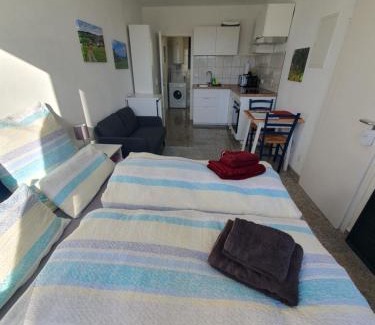 Sankt Georgen im Schwarzwald Apartment | 1-Zimmer-Wohnung-EG Fewo 2 Rupertsberg