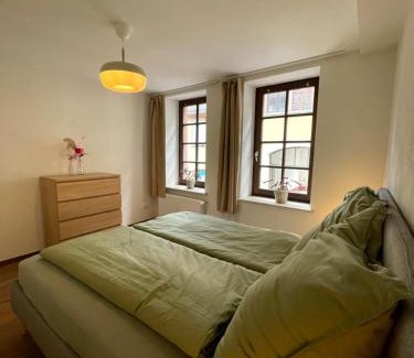 Geisenheim Apartment | 1- Zimmerappartment