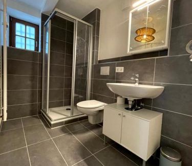 Geisenheim Apartment | 1- Zimmerappartment