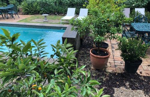 Stellenbosch Central Bed & Breakfast | 10 Alexander B&B