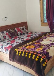 Kasol House | 10 hills homestay