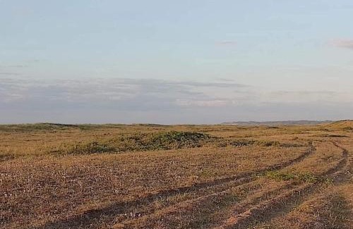 Torup Strand House | 10 person holiday home in Fjerritslev-By Traum