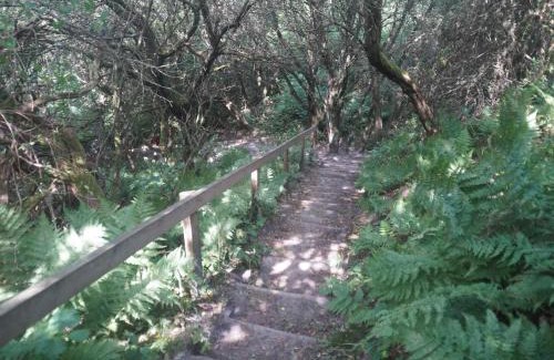 Brovst House | 10 person holiday home in Brovst