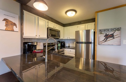 Snowshoe Apartment | 10 Powderidge 1BR Ski Out & pet friendly