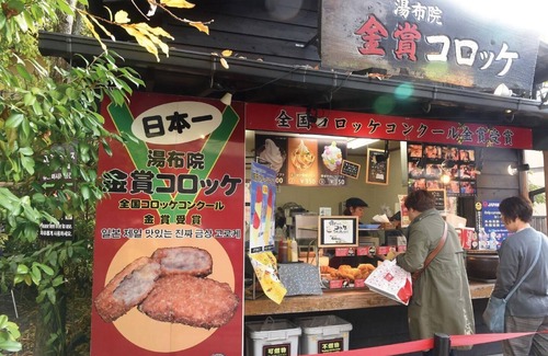 Yufuin Onsen Hotel | 100 freeflowing hot spring with openair bath /Yufu Ōita