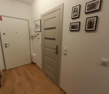Mlyniska Apartment | 100czniowe Żurawie Gdańsk