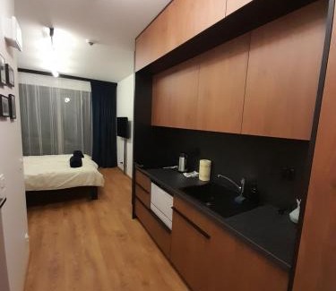 Mlyniska Apartment | 100czniowe Żurawie Gdańsk