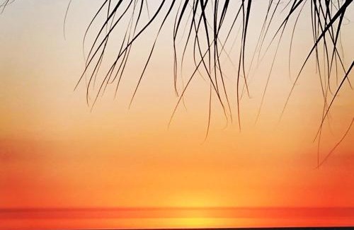 Madeira Beach House | 104 Las Brisas Condo