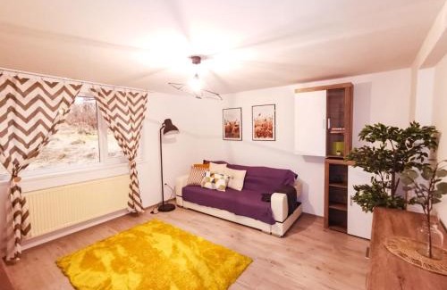 Busteni Apartment | 105500 Apartment