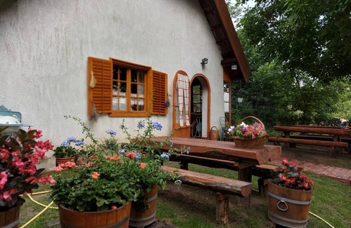 Szolosgyorok Cottage | 10km from Lake Balaton with a quiet idyllic location. Ideal for nature lovers