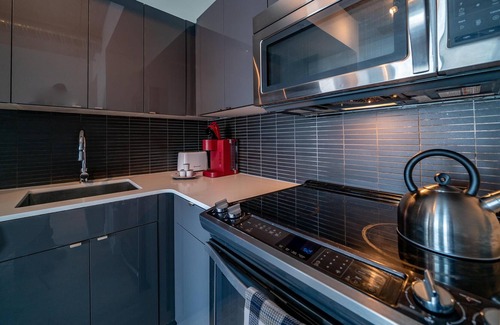 Downtown Winnipeg House | (1102)Downtown Glasshouse Luxury 1 Bdr (311)