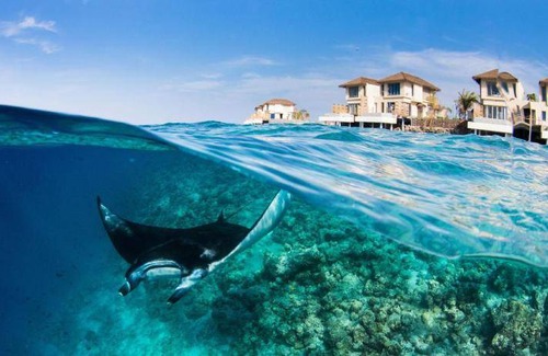 Maamunagau Island Resort | 1120 m² Resort ∙ 127 guests