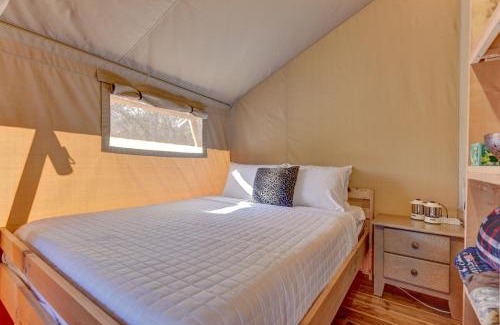 Johnson City Other | 12 Fires Luxury Glamping #1