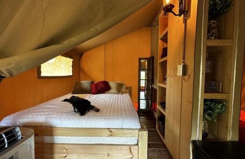 Johnson City Other | 12 Fires Luxury Glamping #5