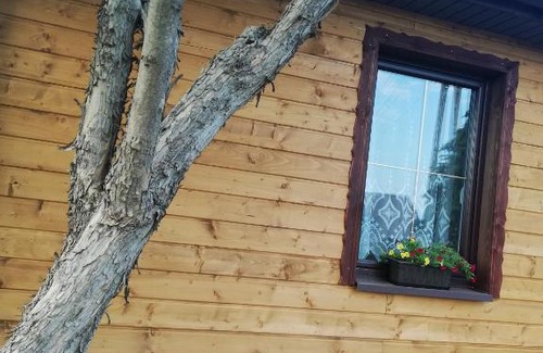 Dwikozy House | 120-letnia chatka drewniana