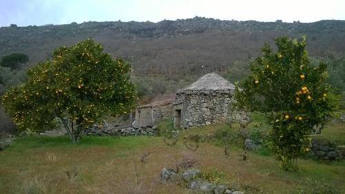 San Martin de Trevejo House | 120 m² House ∙ 3 bedrooms ∙ 6 guests