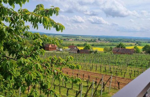 Moravske Toplice House | 120 m² House ∙ 2 bedrooms ∙ 7 guests