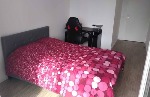 Choisy-le-Roi Apartment | 13 m2 high-standard room in a homestay