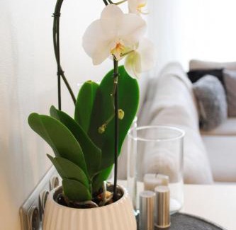 Maakri Apartment | 13th Floor Cityview Luxury