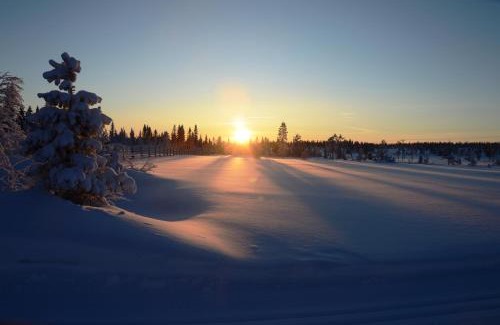 Ljordal Apartment | 15 - Fulufjellets nasjonalparker - Natur-, dyre- og fugleopplevelser