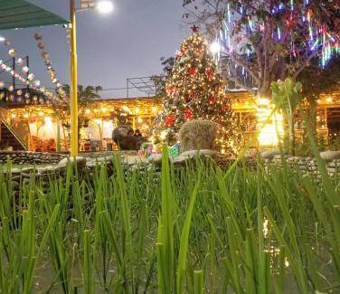 Phuoc Tan Hotel | 150 m² Hotel ∙ 3 bedrooms ∙ 8 guests