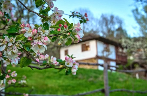 Selishte House | 150 m² House ∙ 3 bedrooms ∙ 7 guests