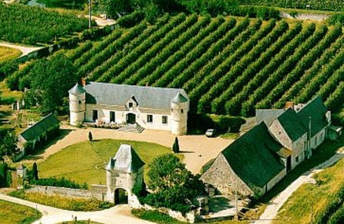 Varennes sur Loire Other | 15th Century Manor House in the heart of Loire valley - France