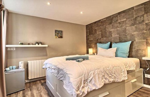 Dambach-la-Ville Apartment | 16 m² Apartment ∙ 1 bedroom ∙ 2 guests
