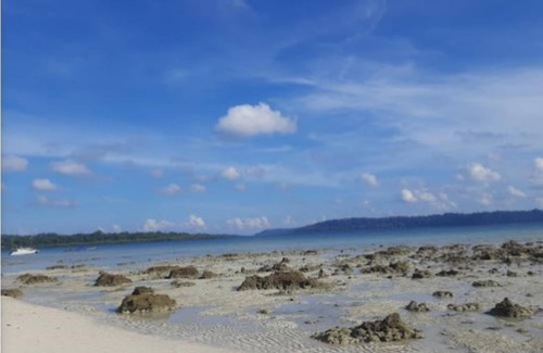 Havelock Island Hotel | 16 m² Hotel ∙ 5 guests