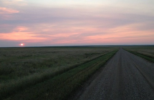 Jones County Other | 🦬 16 Miles to Nowhere: Experience the Dakota Prairie