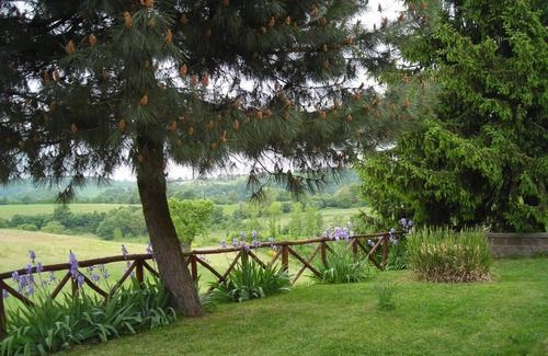 Orvieto Villa | 170 m² Villa ∙ 4 bedrooms ∙ 9 guests