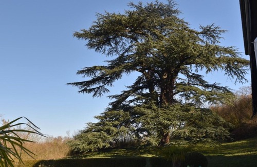 Neauphle-le-Chateau House | 18 th century post relay
