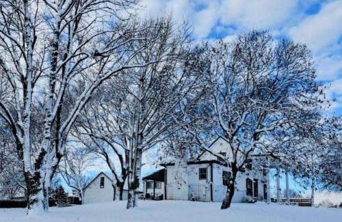 Merriam House | 1908 Modern Farmhouse on large private treed lot