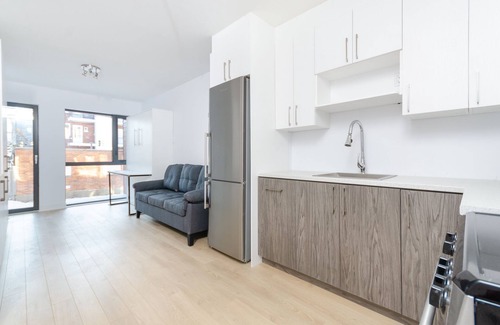 Hochelaga-Maisonneuve Apartment | #193 Cozy Studio with Rooftop Terrace