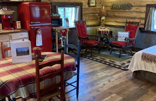 Divide Cabin | 1950's Retro Cabin on 40 Wooded Acres