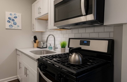 Hyde Park Apartment | 1BR Chic Apt in Downtown Chicago