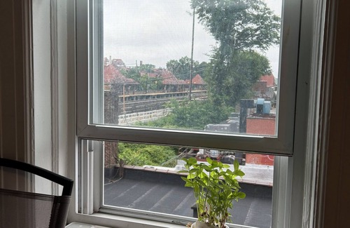 Queens Apartment | 1BR Walk to Subway/LIRR on Austin Street