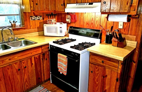 Steinhatchee Cabin | 2/1 Riverfront! Cabin-Fireplaces-Balcony-Nature-Fishing-Gulf of Mexico