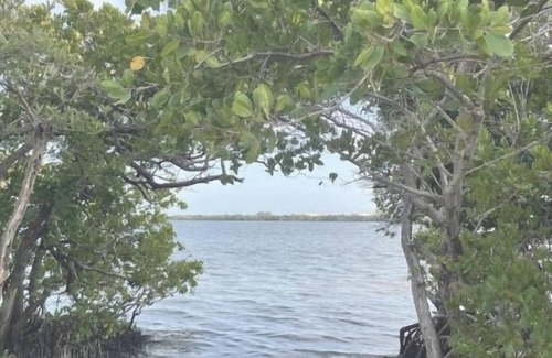 St. Petersburg - Clearwater Condo | 2/2 Beach Lovers Hide Away - Tampa / St Pete