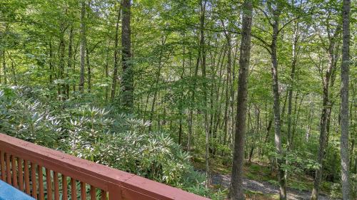 West Jefferson House | 2 Bd Cabin with Hot Tub, Direct Hiking Trail to New River