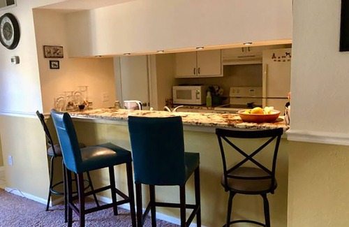 Bayview Condo | 2-bedroom/2-bath condo 9 min to Downtown St, Petersburg & 5 min to Gulport