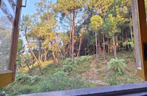 Gunehr House | 2 Bedroom & 5 Rooms Hostel property in Pine Forest at Bir-Billing H.P.