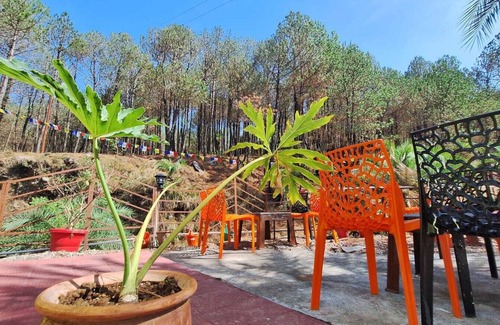 Gunehr House | 2 Bedroom & 5 Rooms Hostel property in Pine Forest at Bir-Billing H.P.
