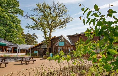 New Forest District Ski Chalet | 2 bedroom accommodation in Godshill, Fordingbridge